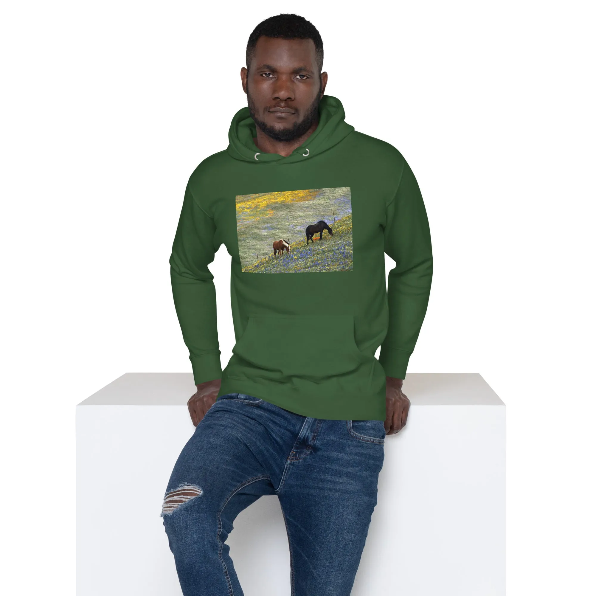 Hoodie Mens Designer (Hoodies Mens - Horse 0021)