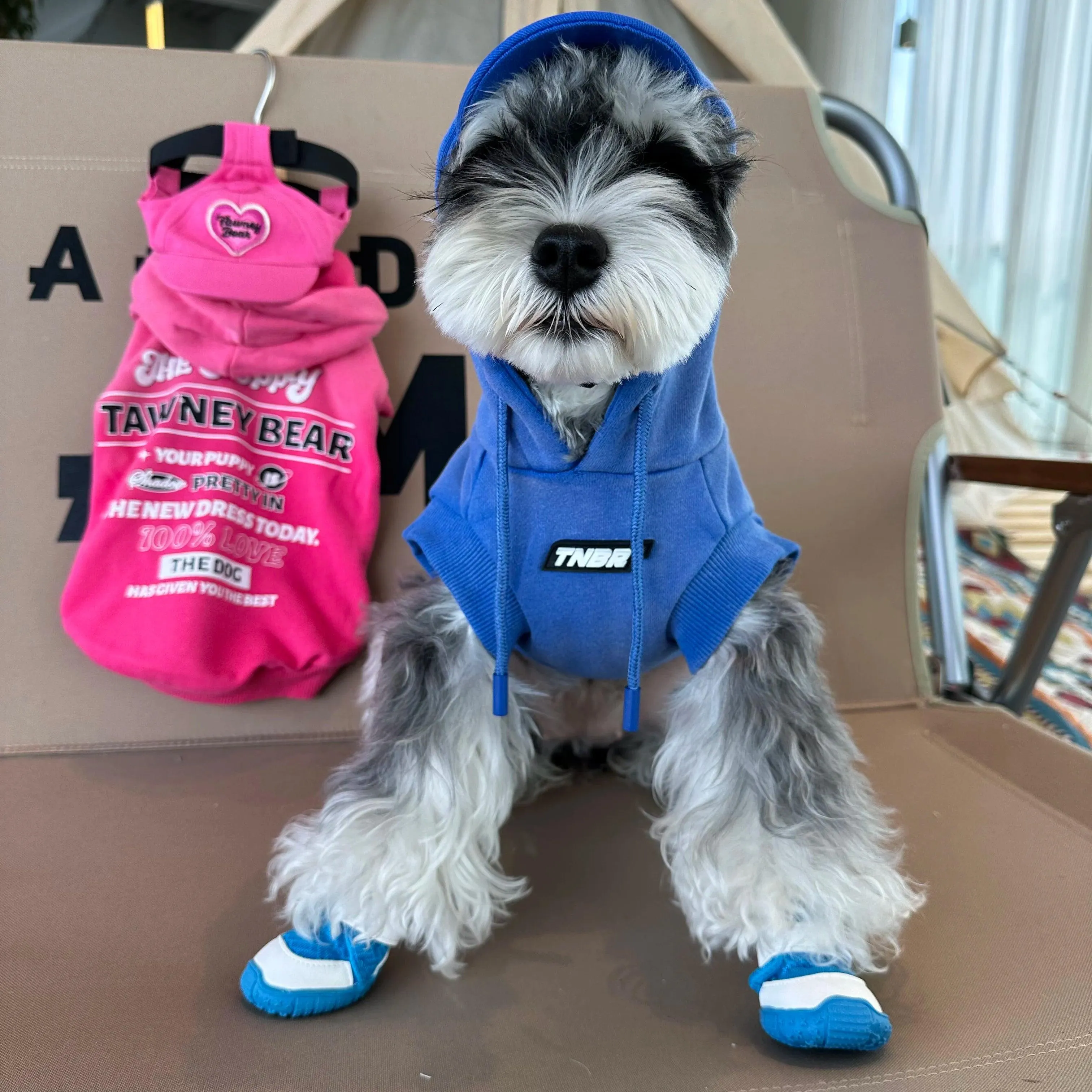 Schnauzer Dog Sweatshirt
