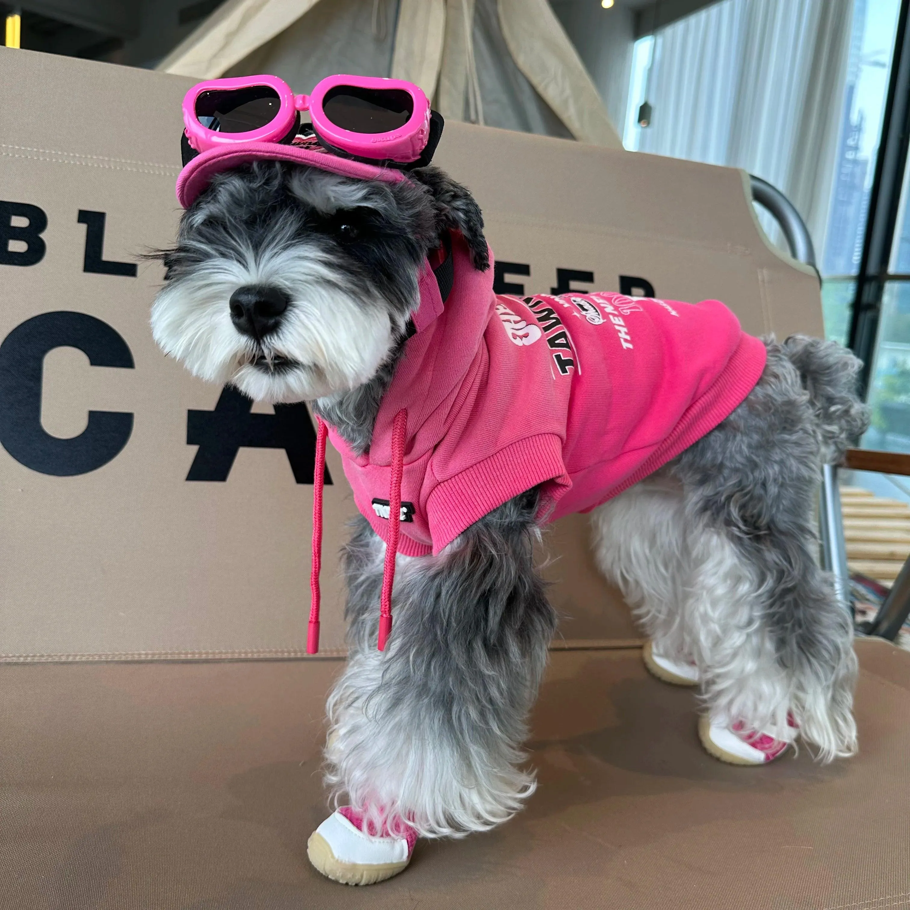 Schnauzer Dog Sweatshirt