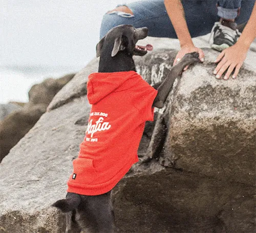 ZeeDog Mafia Hoodie